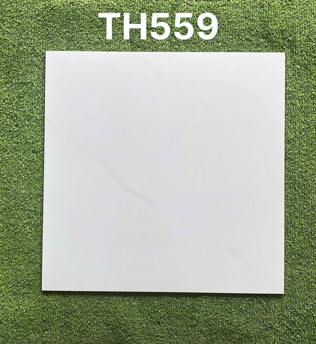 Gạch Men Lát Nền 50x50 Trắng